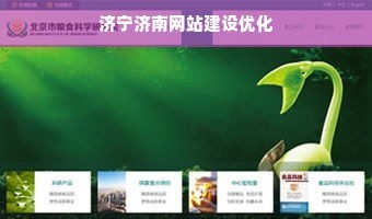 濟寧濟南網(wǎng)站建設(shè)優(yōu)化